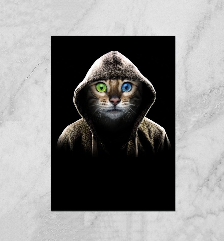 Кот в капюшоне на аву