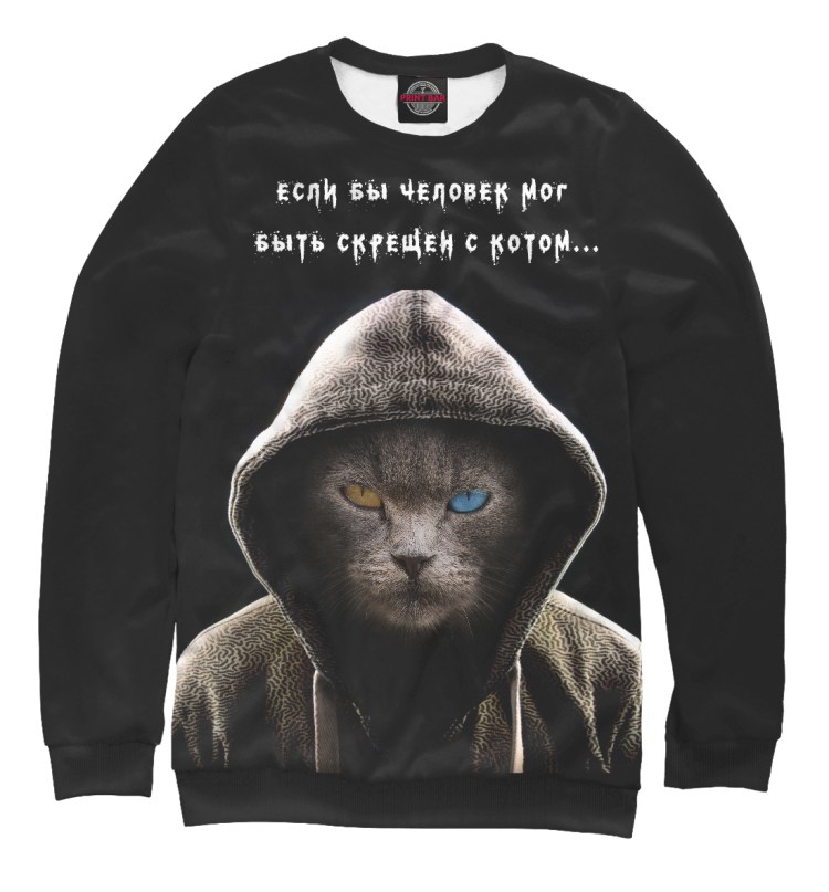 Котики ассасины