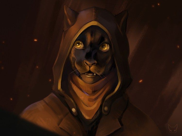 Кот в капюшоне