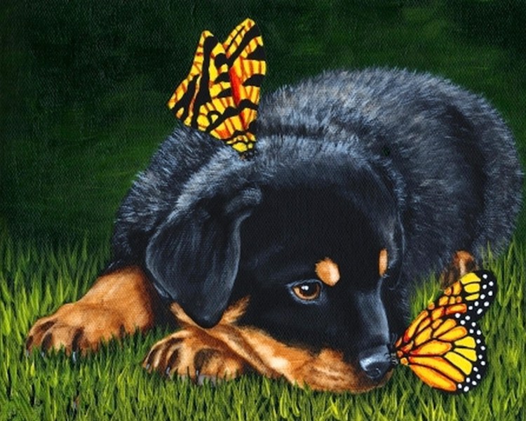 Позитивные цветочки