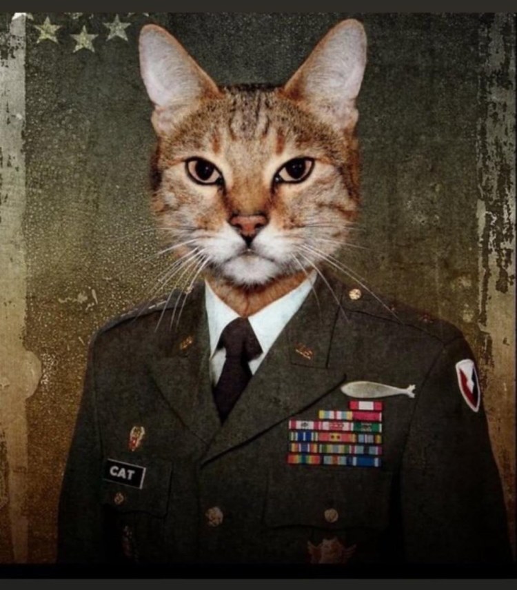 Генерал Рысик