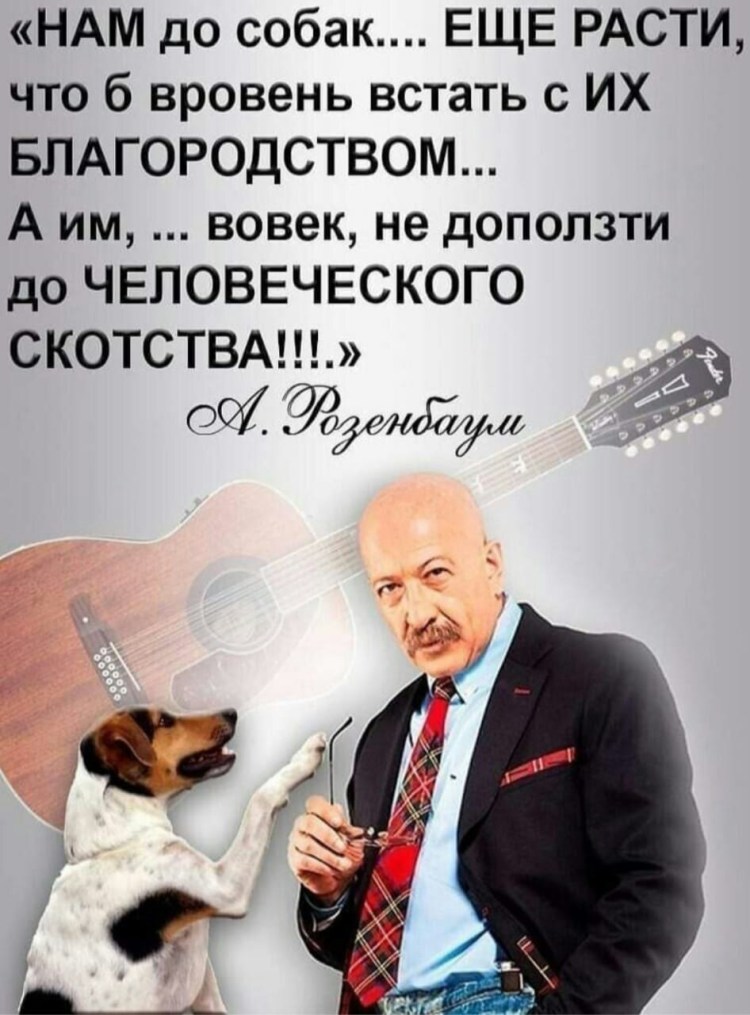 Нам до собак еще расти