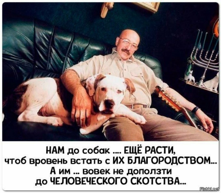 Собака Розенбаума