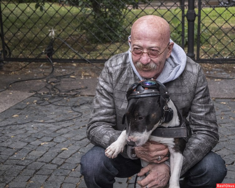 Бультерьер Розенбаума