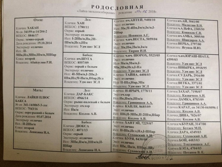 Лайки ЗСЛ Андрея Даровских