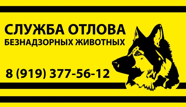 Отлов бродячих животных