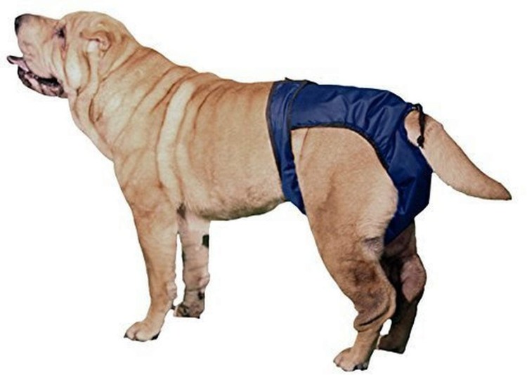 От ложной беременности у собак