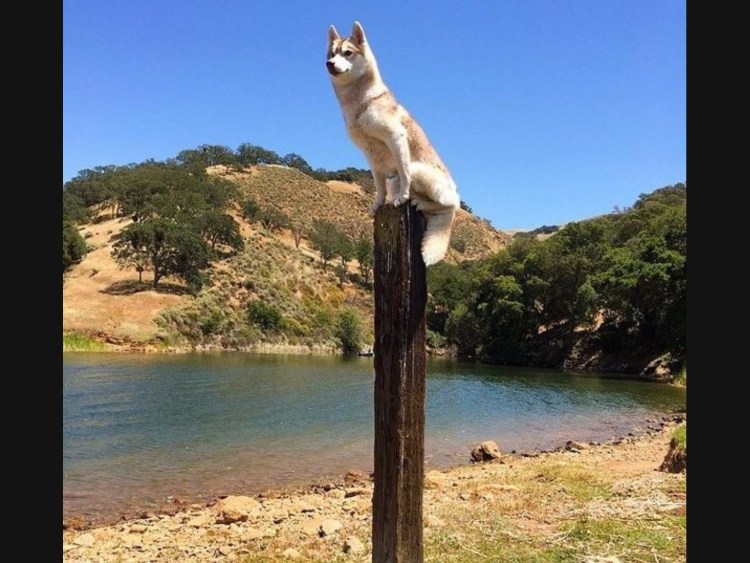 Демотиваторы смешные