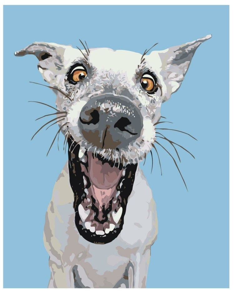 Собака с неправильным прикусом