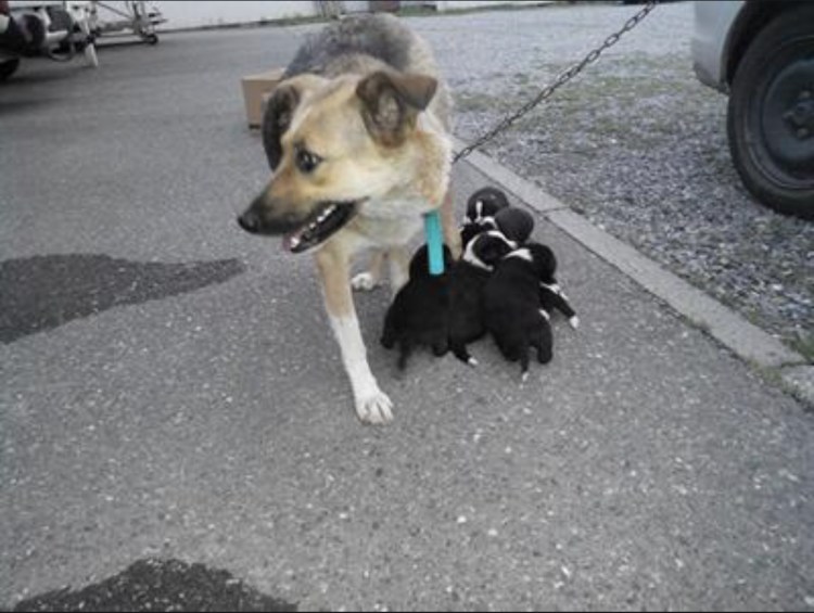 Демотиваторы про психологов