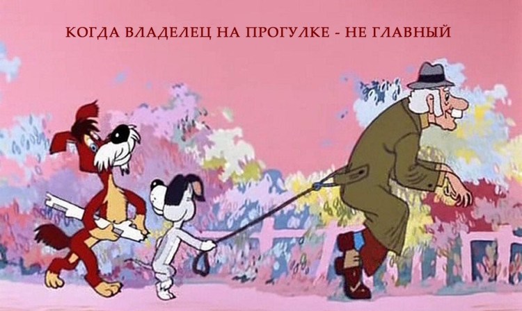 Барбос и Жулька раскраска для детей