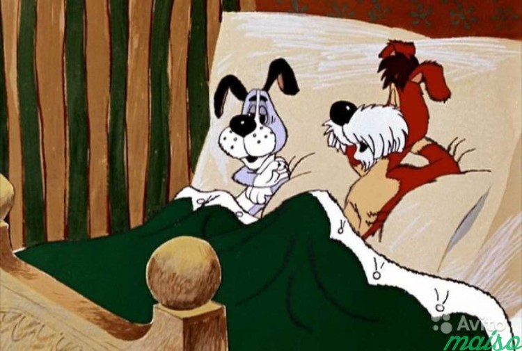 Лохматый Барбос