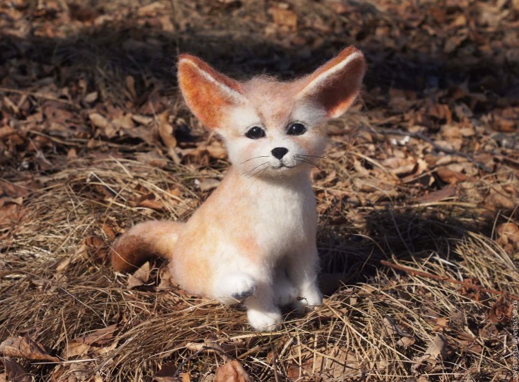 Фенек окрас