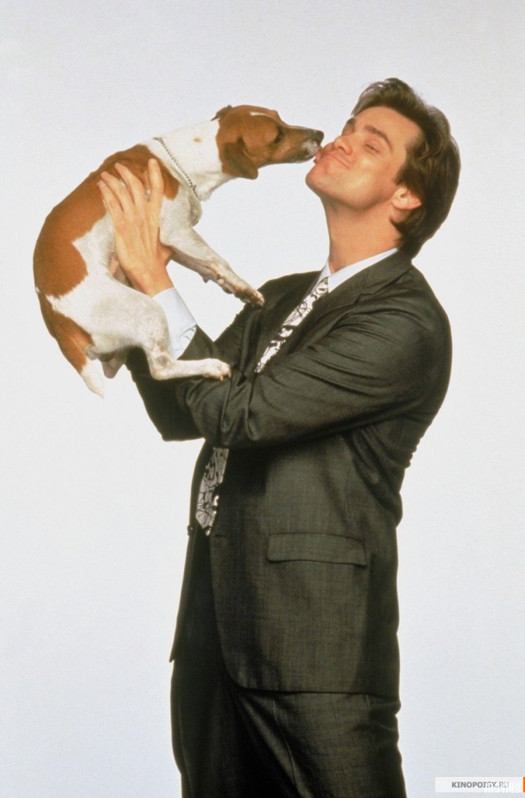 Майло Джек Рассел