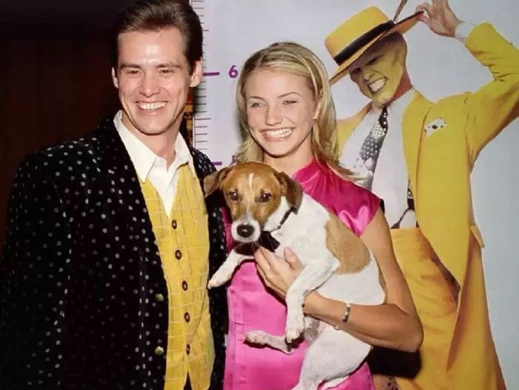 Майло Джек Рассел