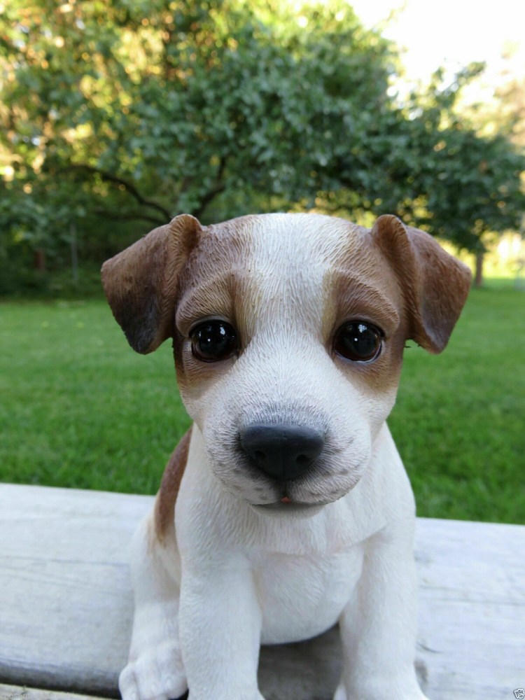 Джек Рассел