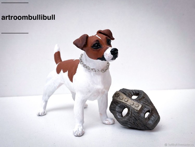 Джек Рассел гладкошерстный