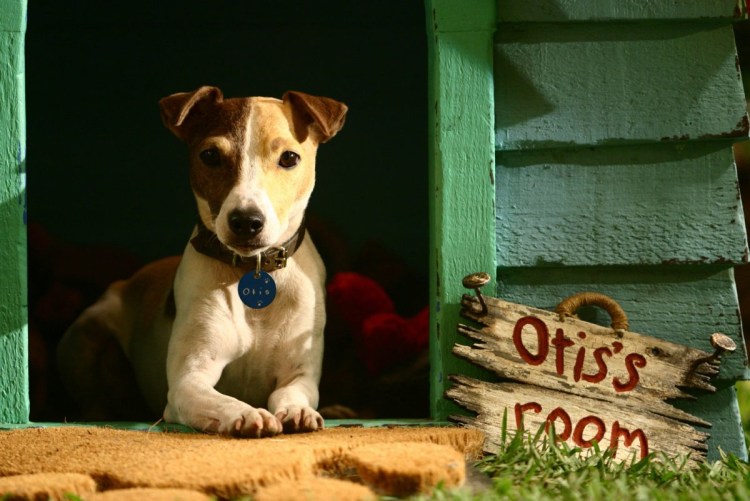 Фильм маска 2 собака Майло