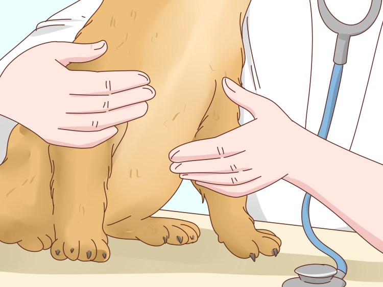 Шерсть МОПСА