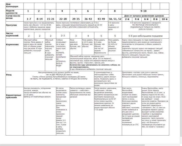 Возбужденные половые органы животных