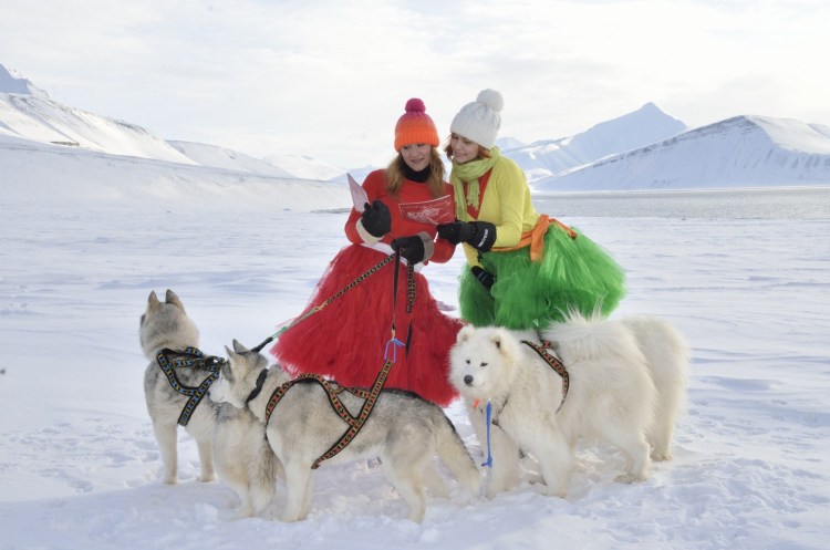 Норвегия собачьи упряжки