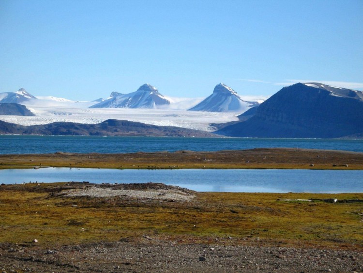 Белые собаки породы название с фото