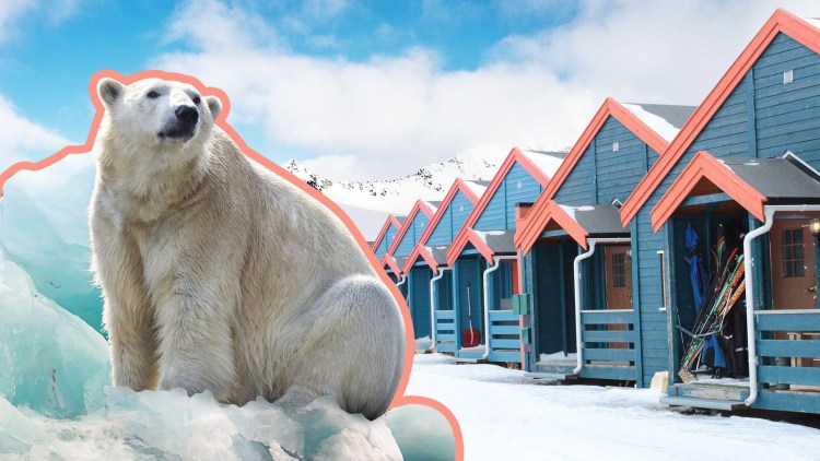 Остров Медвежий Шпицберген