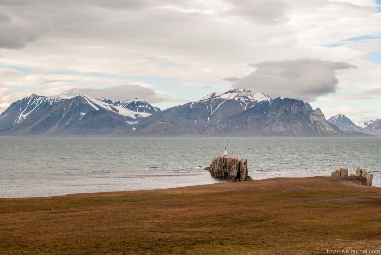 Одомашненная собака