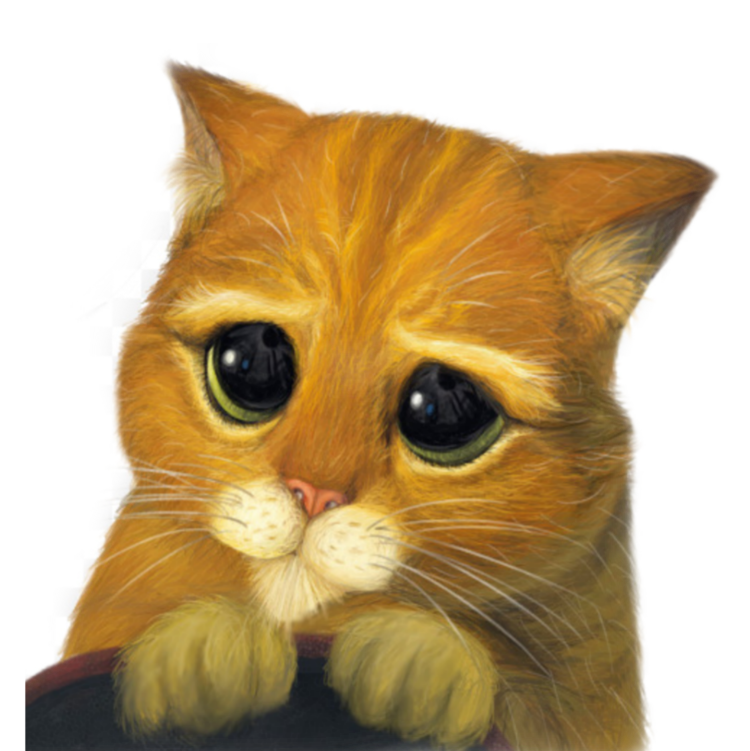 Стикер жалобный кот