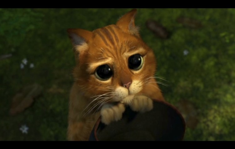 Кот в сапогах Шрек глаза