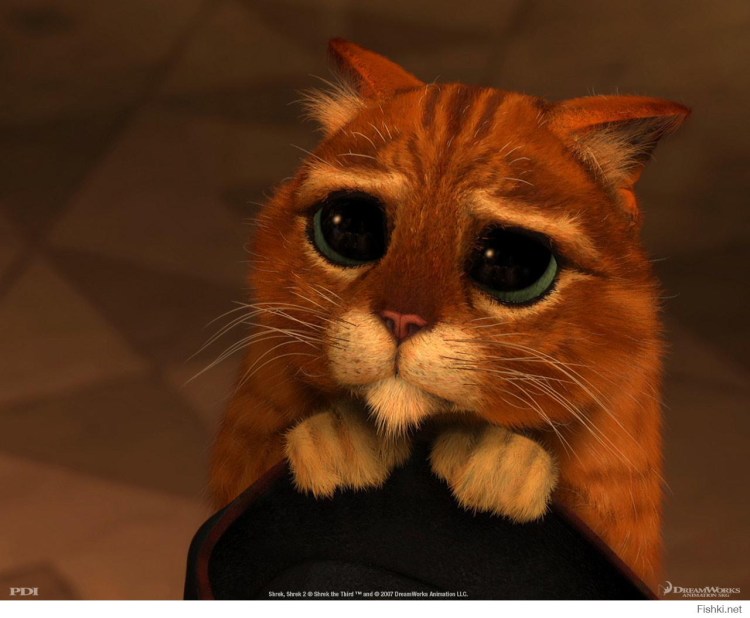 Кот из Шрека с грустными глазами