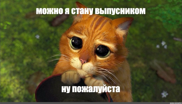 Кот в сапогах глаза