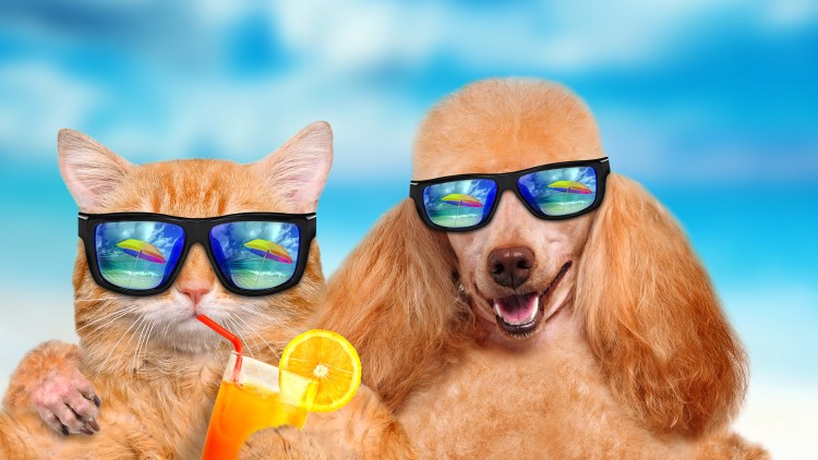 Это не я юмор