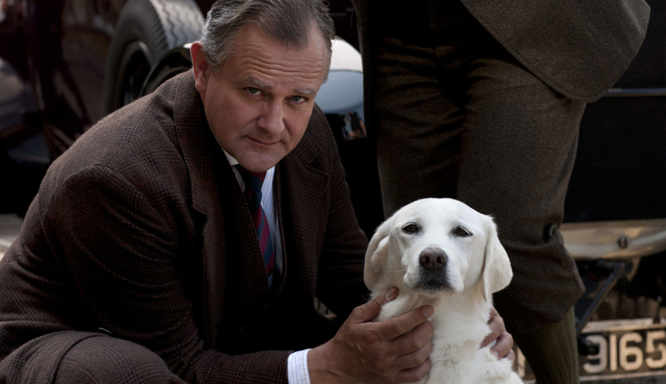 Бультерьер 1900