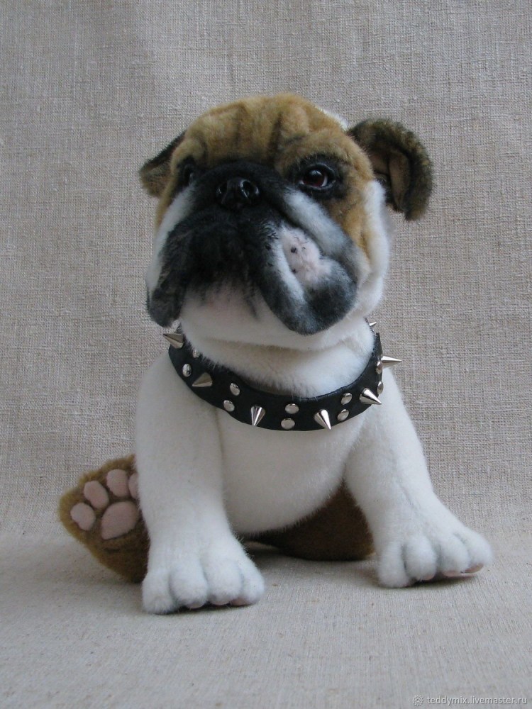 Ирландский бобтейл