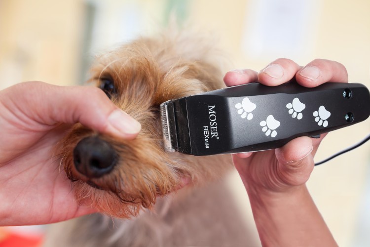 Машинка для стрижки животных Moser animal 1400-0075