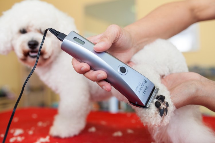 Машинка для стрижки животных дм 645