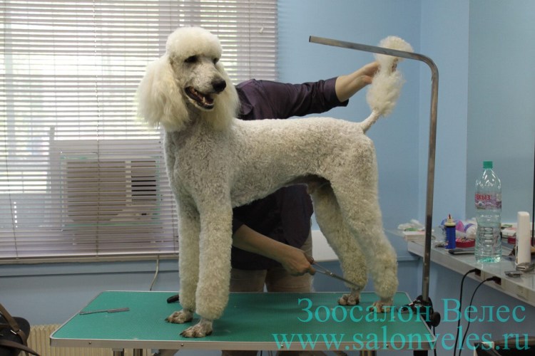 Машинка для стрижки животных Moser Fox 1170-0061