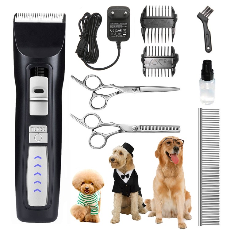 Королевский пудель линяет