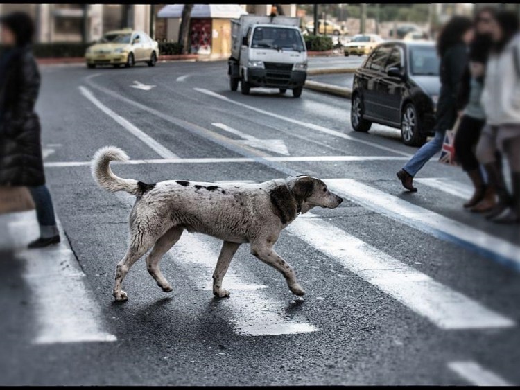 Укутанная в куртку
