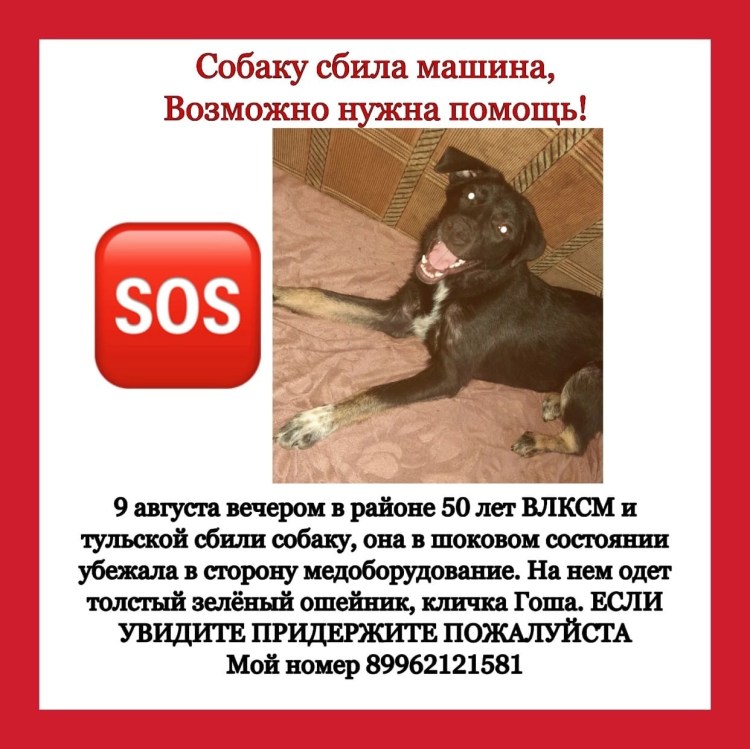 Сегодня без псин картинка