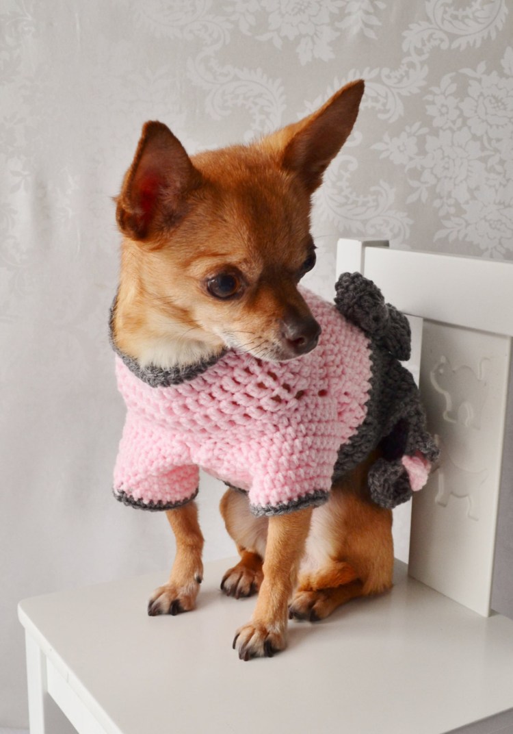 Вызвнная одежда для собак