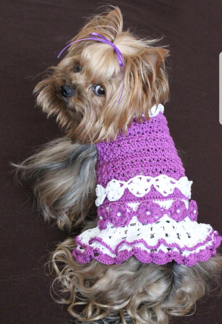 Вязаная одежда для собак