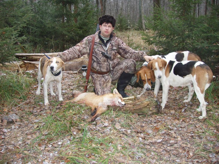 Русская пегая гончая с охотником