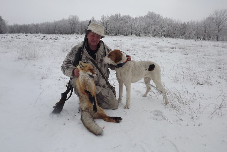 Охота сгончими на зайца