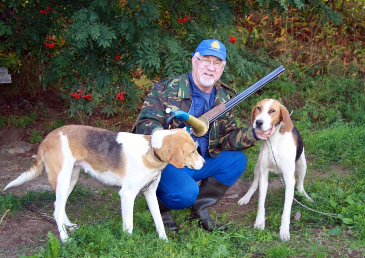 Охотничья собака для охоты на Лис