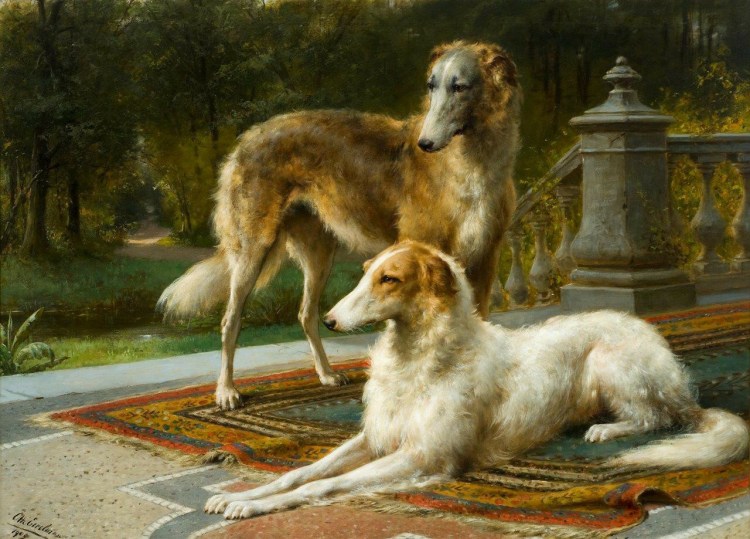 Собака Доберман