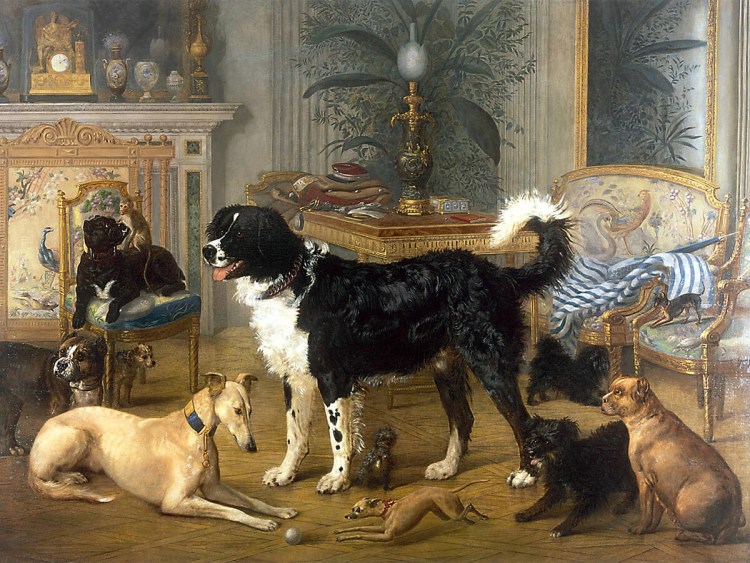 Вязка животных