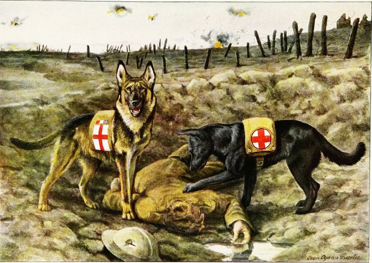 Доберман 1920