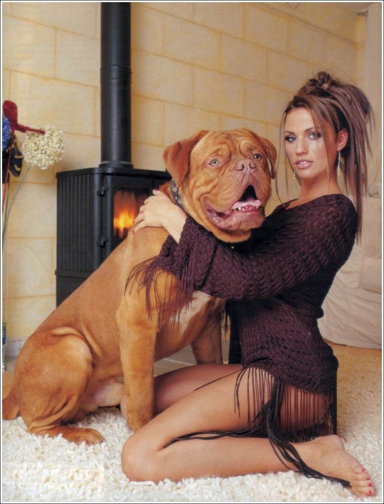 Половое поведение собак